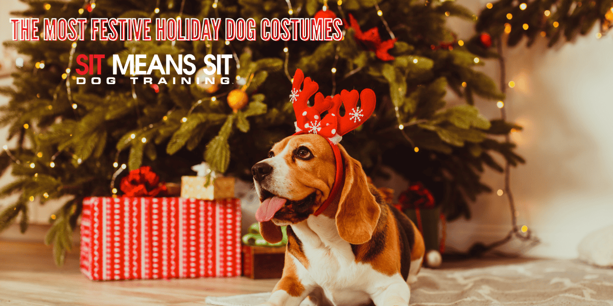 The Most Festive Holiday Dog Costumes
