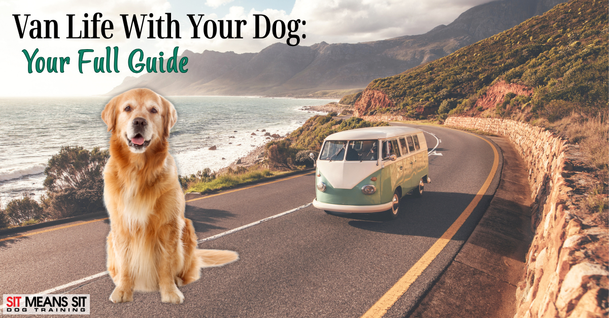 Tips for Van Life with Your Dog