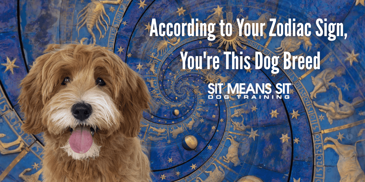 Zodiac dog breed